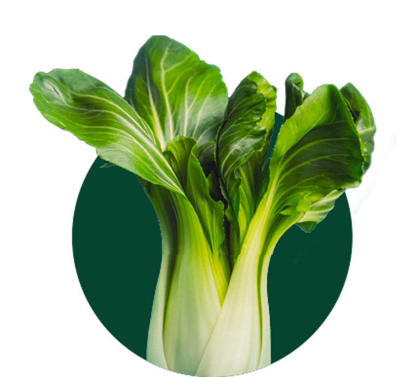 Range The Clean Food Company